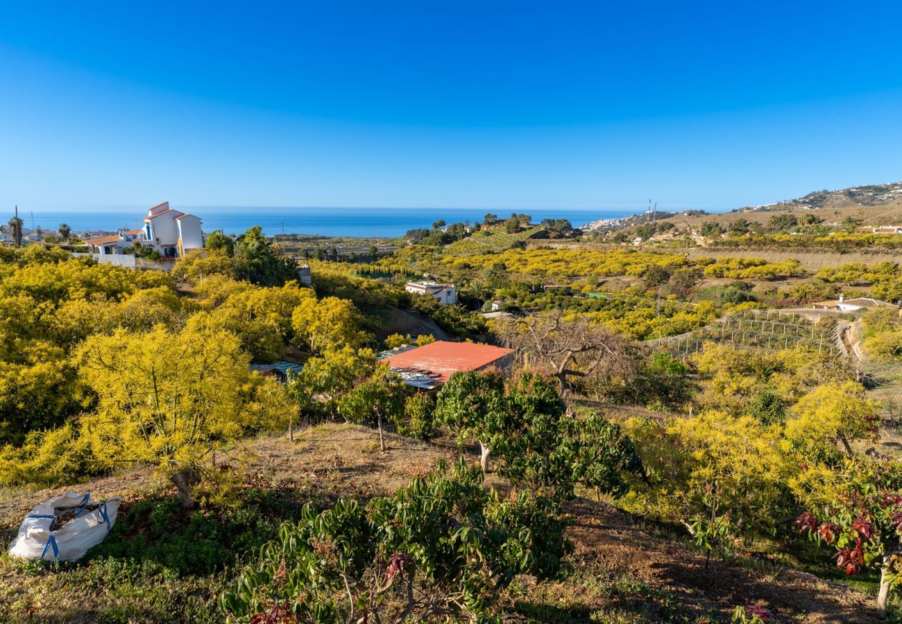 Cottage in Nerja - Nerja 011