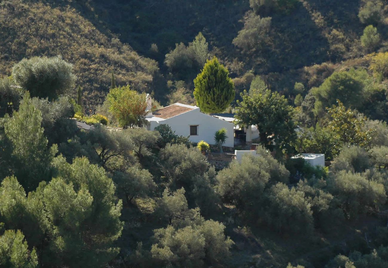 Cottage in Frigiliana - Acebuchal 001 