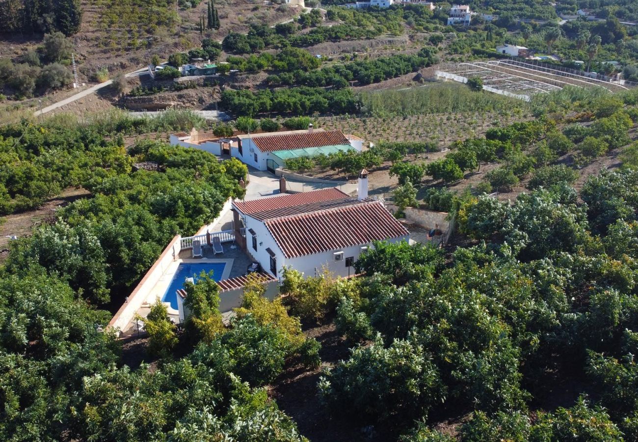 Villa in Nerja - Nerja 033