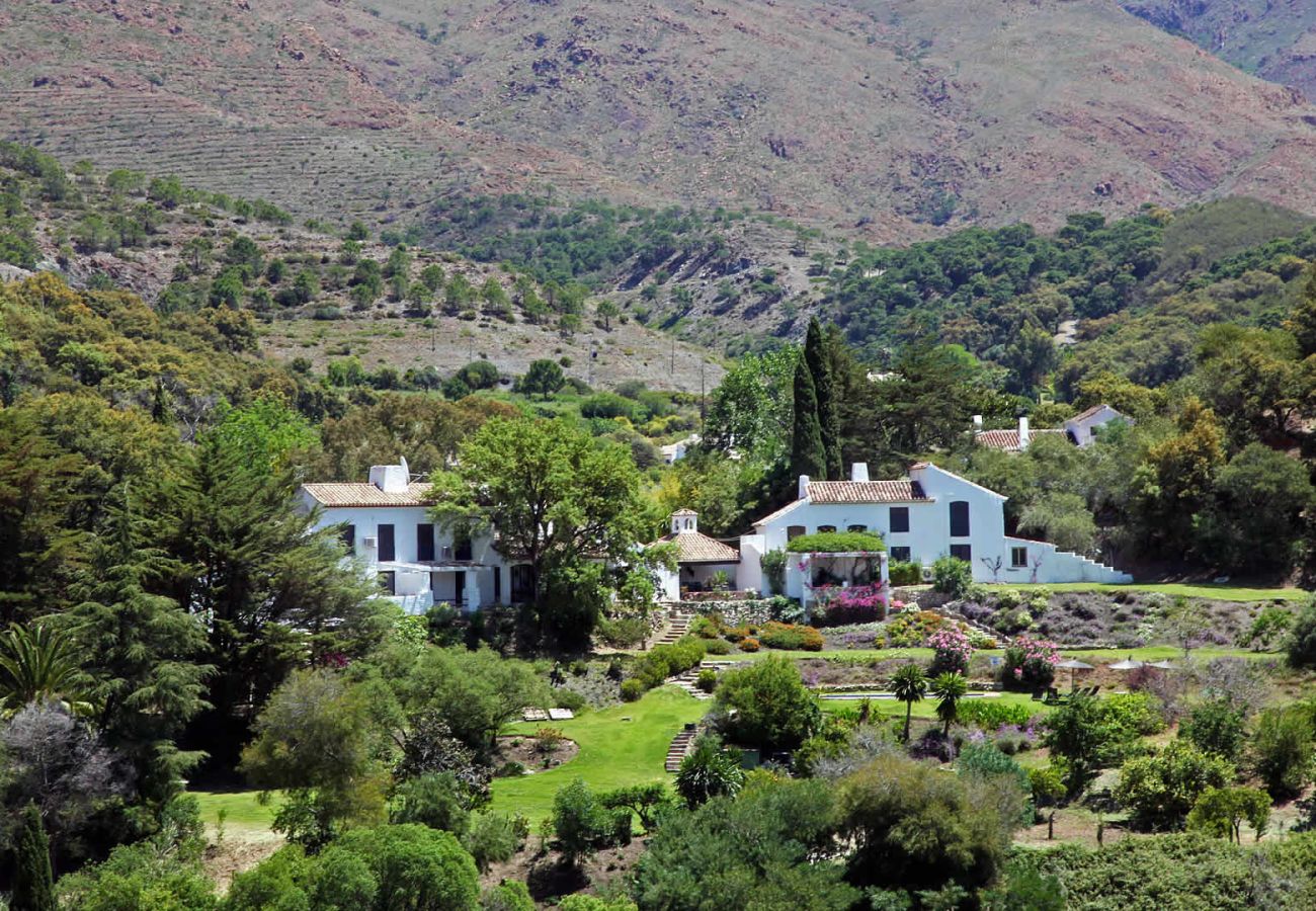 Villa in Casares - Casares 010