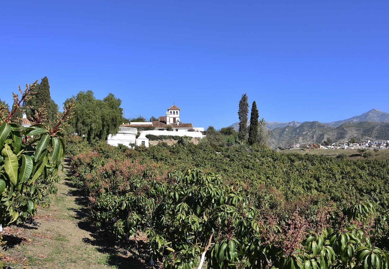 Villa in Nerja - Nerja 002