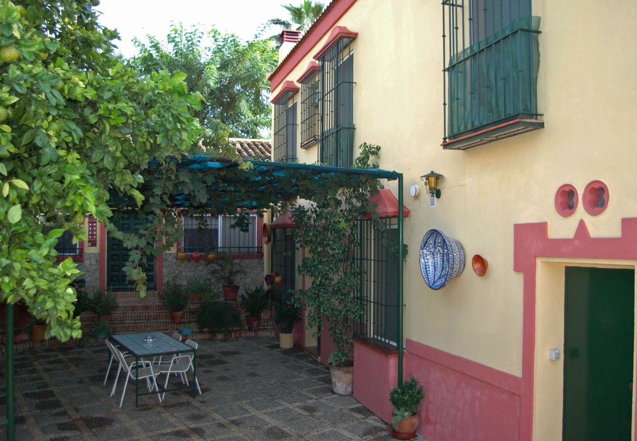 Huis in Aznalcázar - Sevilla 001