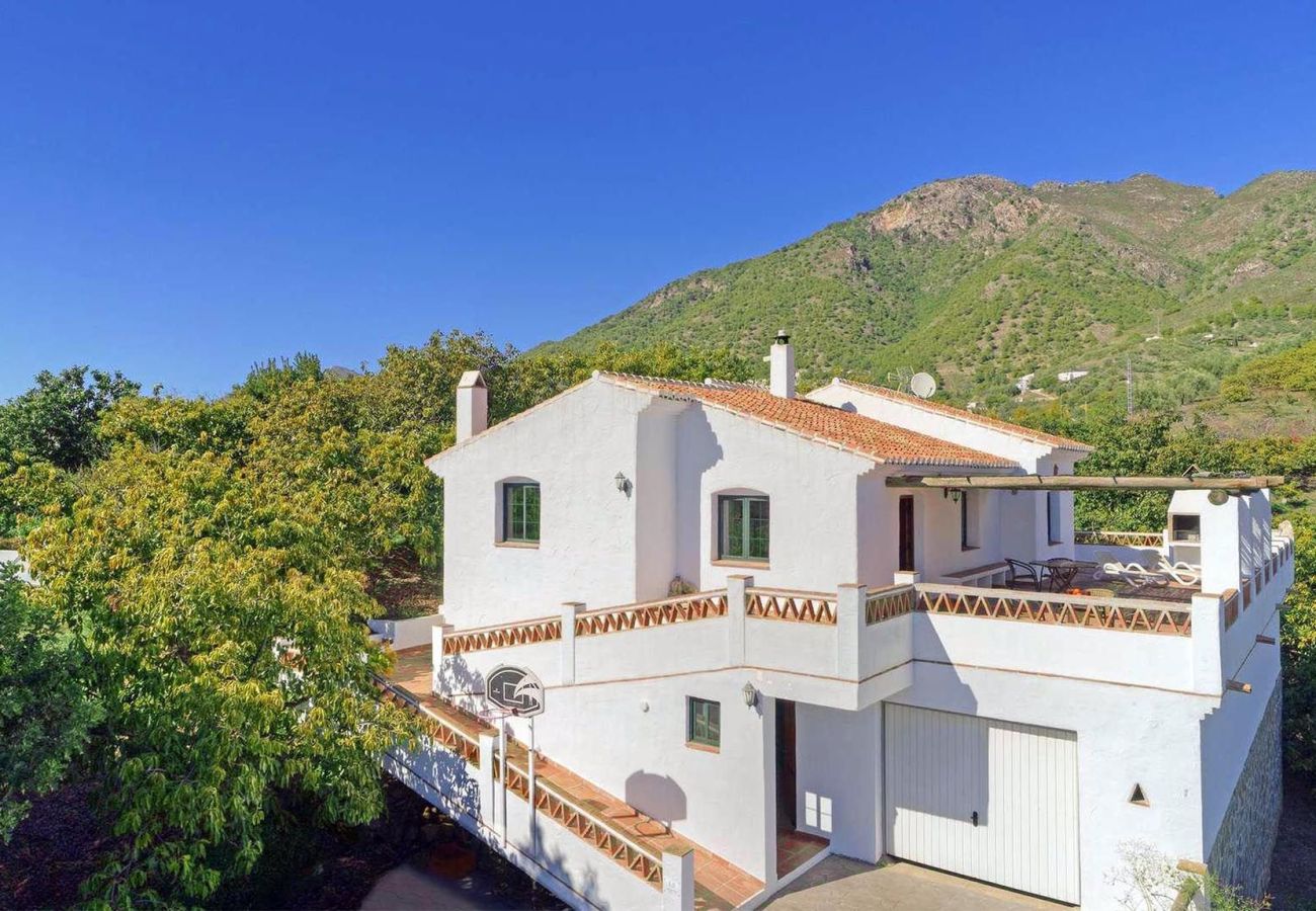 Villa in Frigiliana - Frigiliana 027