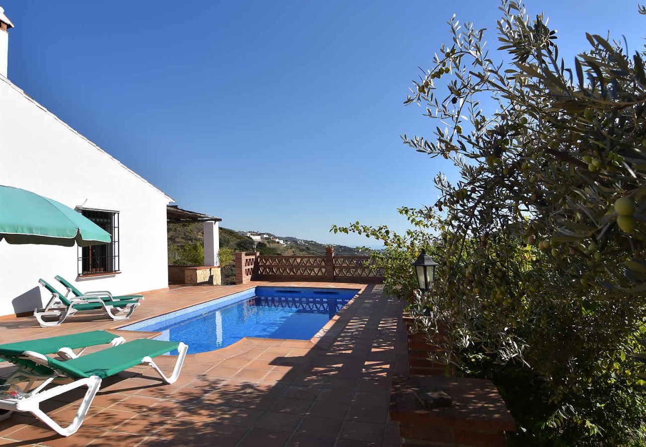 Villa in Frigiliana - Frigiliana 034