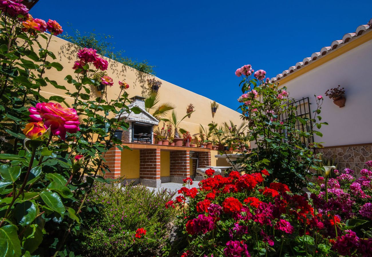 Villa in Nerja - Nerja 021 - Villa Isabel